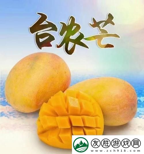 深入解析亞va芒果亂碼一二三四區(qū)別的奧秘