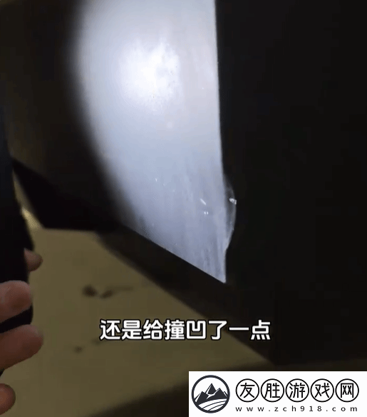 陳震吐槽特斯拉FSD