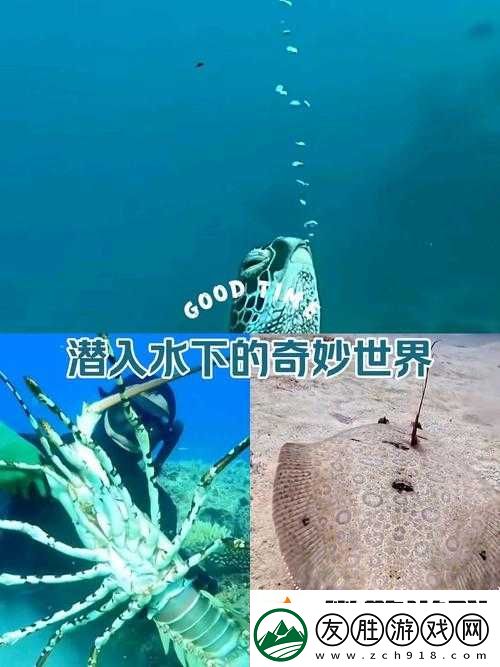 海