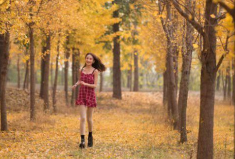 紅豆視頻電影電視劇免費(fèi)，網(wǎng)友：這一波真給力！