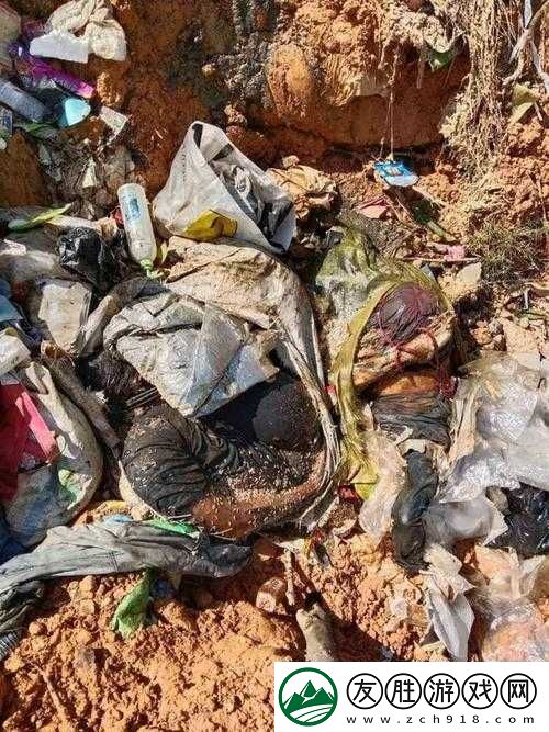 緬甸北部恐怖血腥網站-www：揭開其背后的罪惡真相