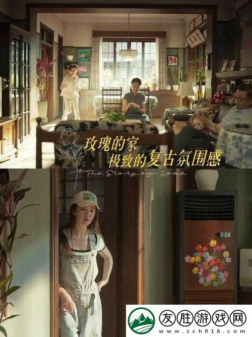 完美妻子滿天星