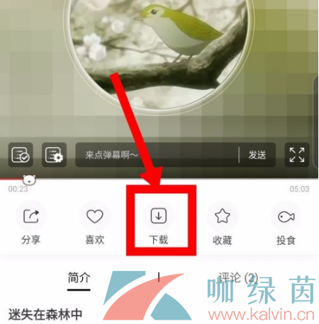 《貓耳FM》緩存音頻方法介紹