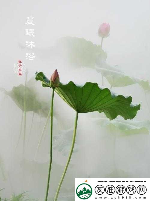 半脫蓮房露壓欹：探尋古詩詞中獨(dú)特意象的魅力所在