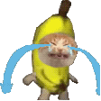 《抖音》happyhappyhappy貓搞笑表情包分享