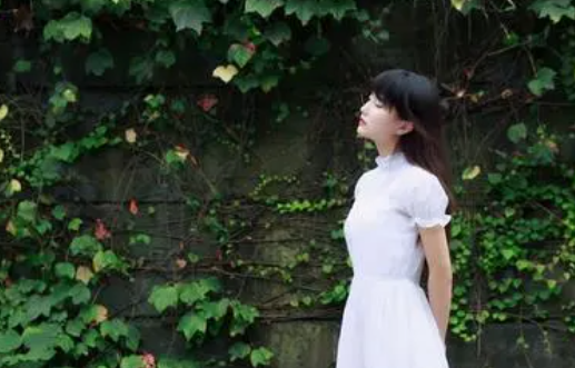 《高嫁柳嫁家》櫻花動(dòng)漫:感受影像藝術(shù)的巔峰之作