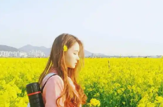 八重神子露胸和尿孔：期待更便捷的使用體驗